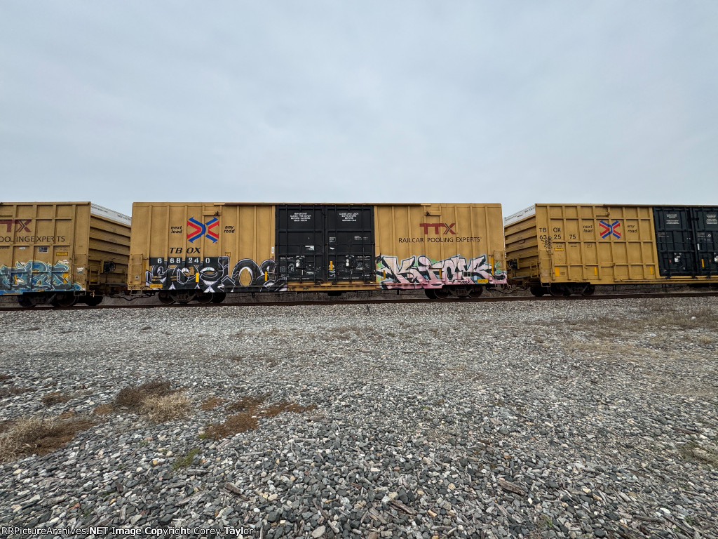 TBOX 668240